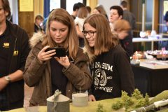 33_Foto-scaled